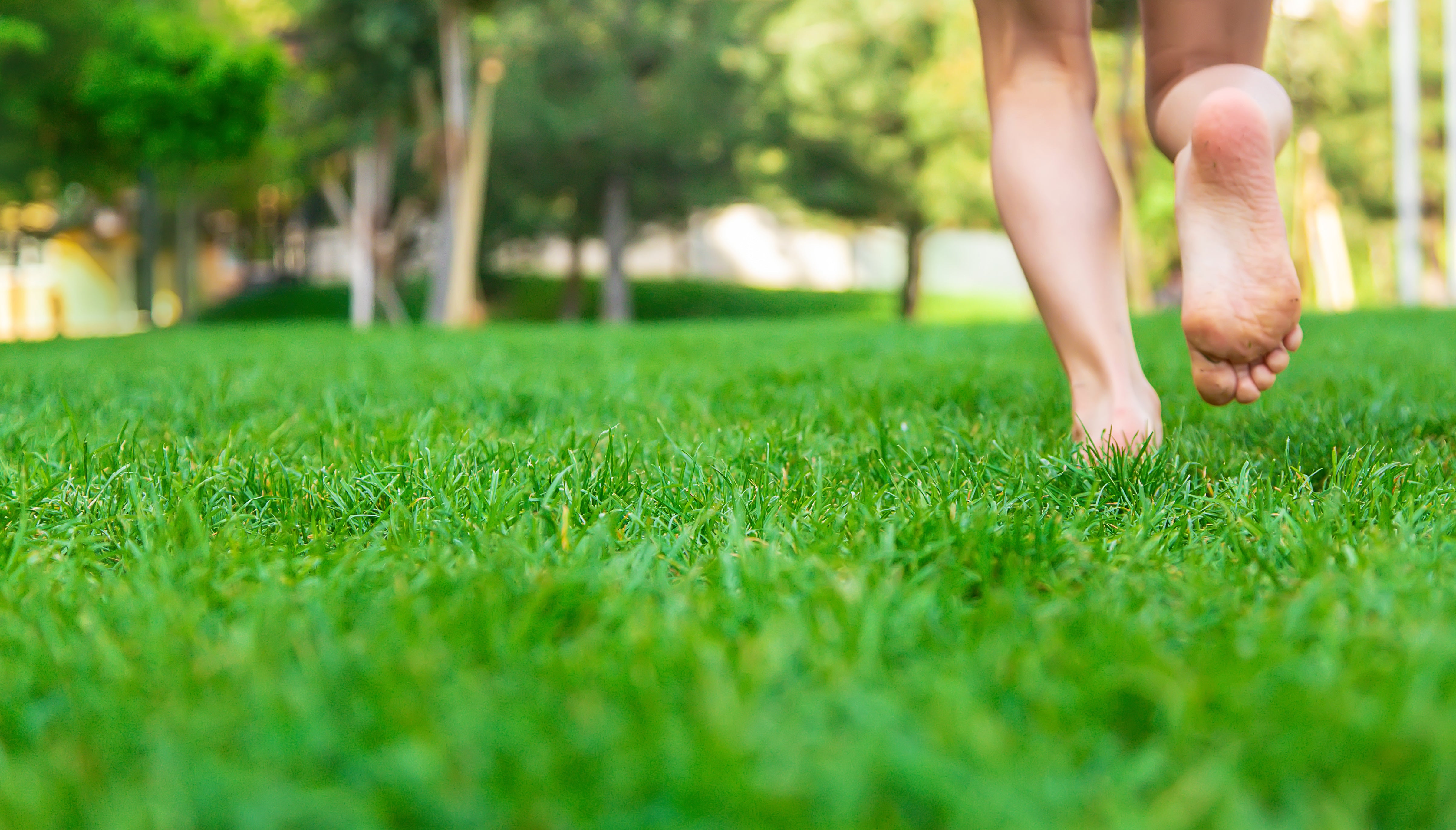 Bare feet walking on grass