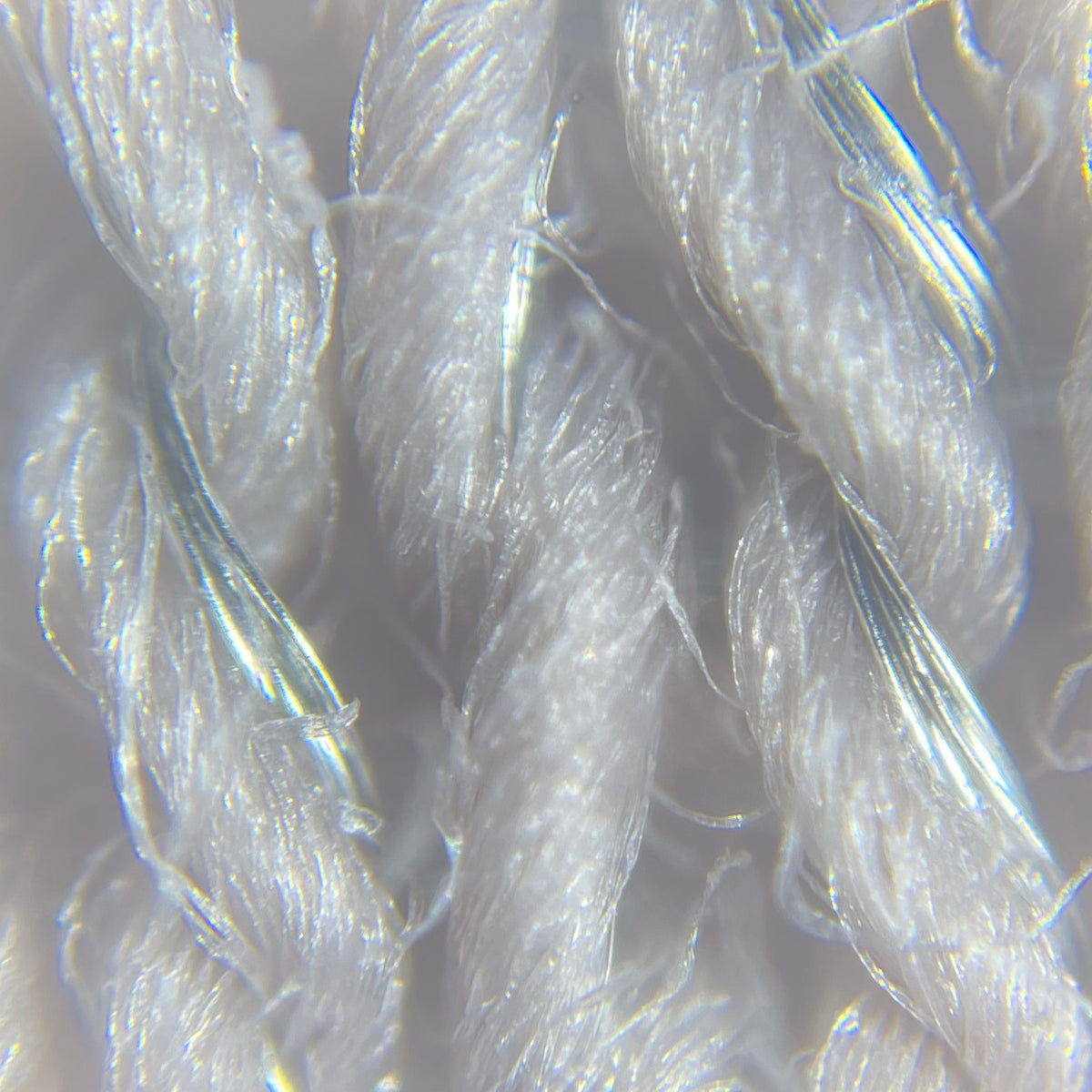 Low Inclusion