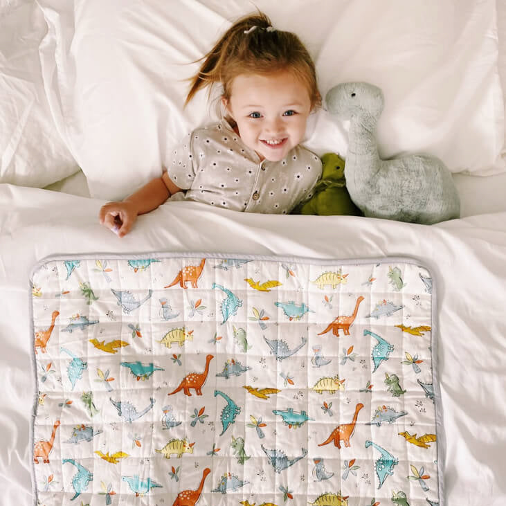 SleepGift EMF Protection Baby Blanket